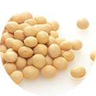 Plant protein for hair protection