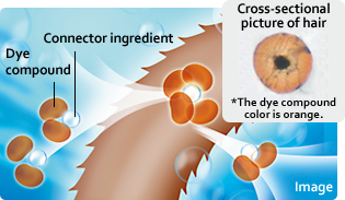 Improved effects for hair dyeing and maintaining color