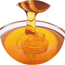 Royal Jelly Extract