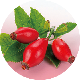 Rosehip Oil