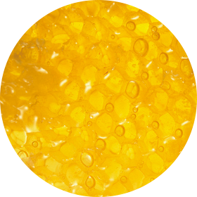 Royal Jelly Extract