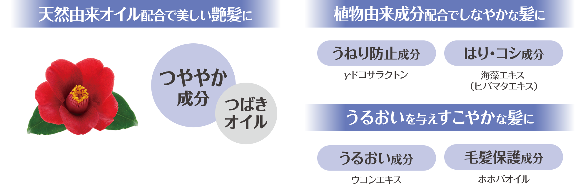 天然由来オイル配合で美しい艶髪に 植物由来成分配合でしなやかな髪に うるおいを与えすこやかな髪に