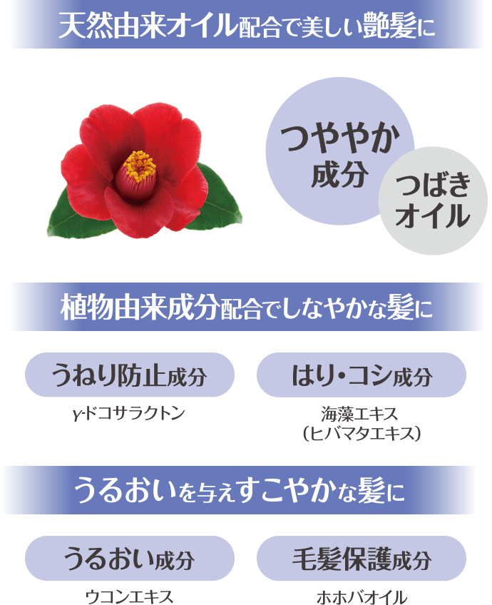 天然由来オイル配合で美しい艶髪に 植物由来成分配合でしなやかな髪に うるおいを与えすこやかな髪に