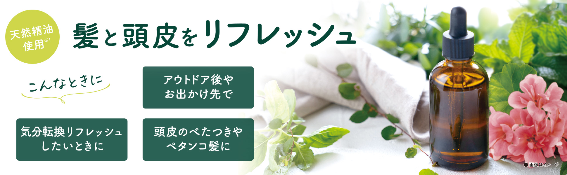 染めない選択をしたい方へ