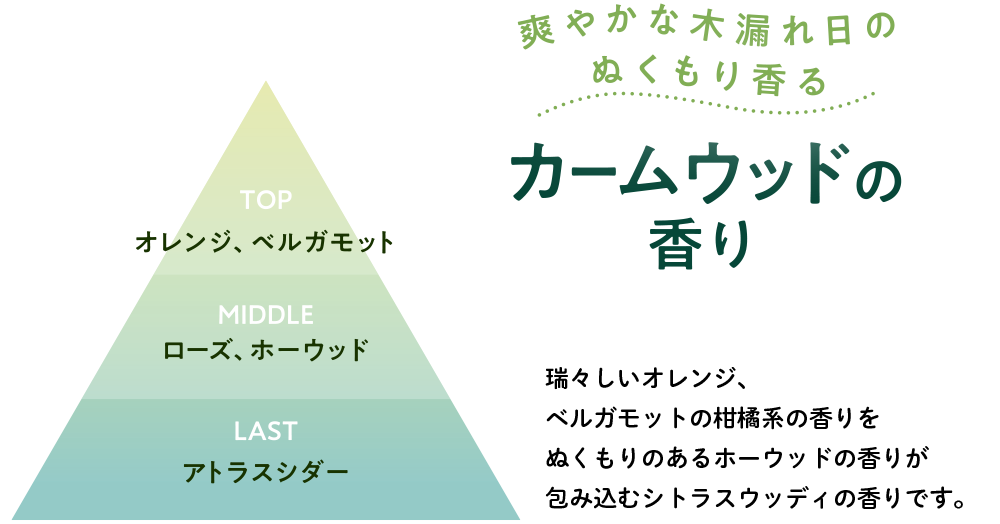 爽やかな木漏れ日のぬくもり香る カームウッドの香り